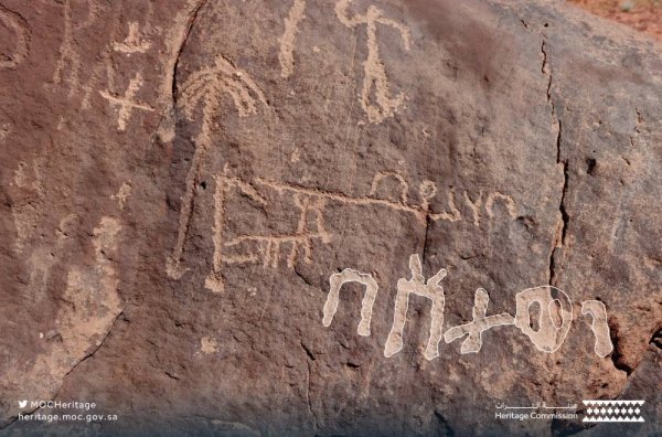 صخور موقع الدليمية في القصيم مع النقوش الدادانية