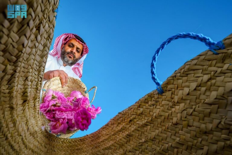 مزارع الورد الطائفي في الطائف